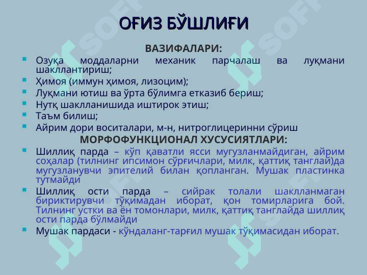 Preview 6