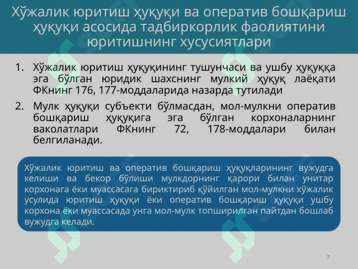 Preview 7