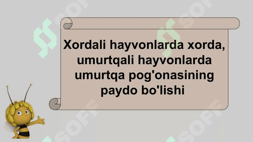 HAYVONLARNING NAFAS OLISH ORGANLARI EVOLUTSIYASI 2