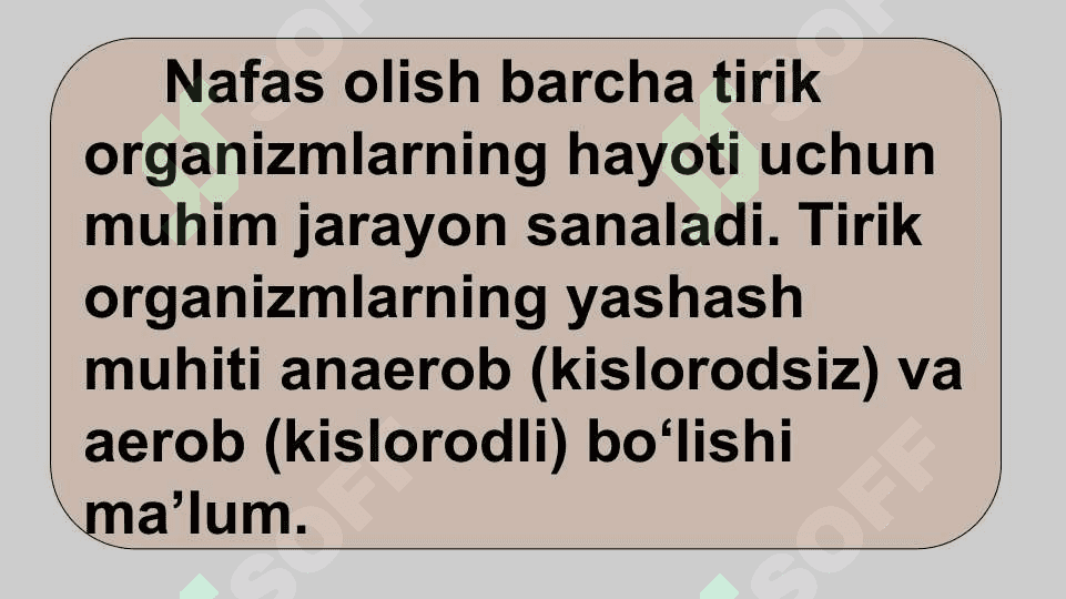HAYVONLARNING NAFAS OLISH ORGANLARI EVOLUTSIYASI 3