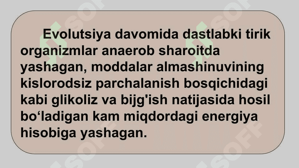 HAYVONLARNING NAFAS OLISH ORGANLARI EVOLUTSIYASI 4