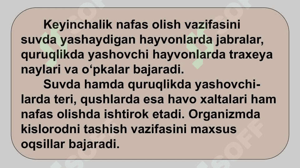 HAYVONLARNING NAFAS OLISH ORGANLARI EVOLUTSIYASI 7