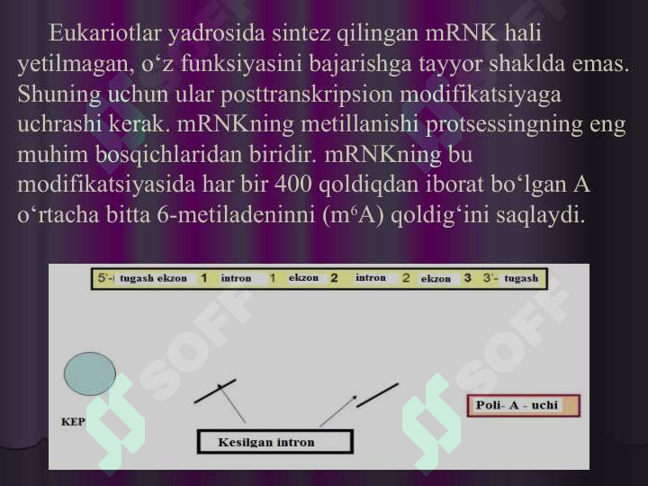 Preview 8