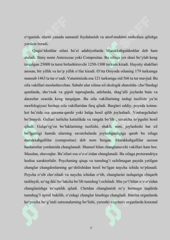 Preview 7