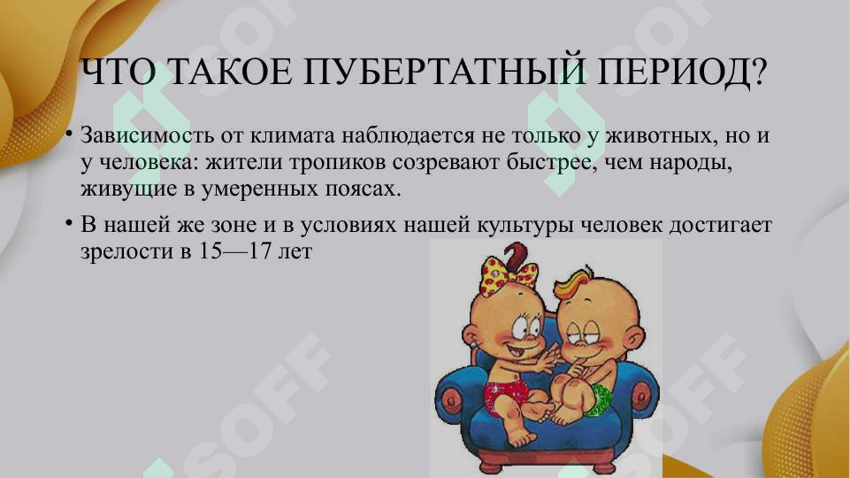 Preview 5