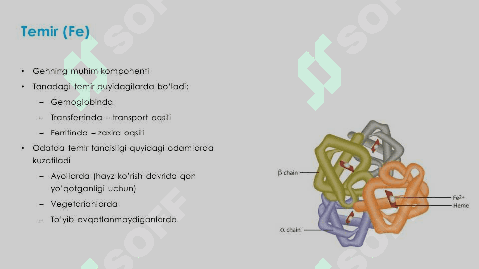 Qon sistemasiga tasir qiluvchi dori vositalari 6