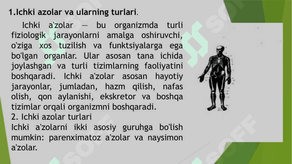 iCHKI A'ZOLAR HAQIDA TUSHUNCHA. 3