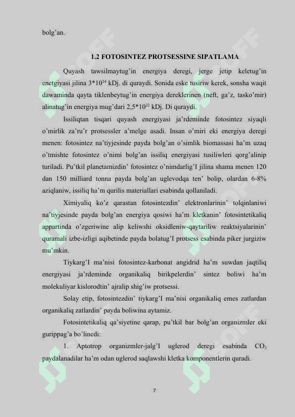 Preview 7