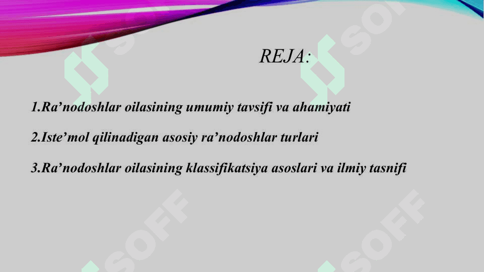 Isteʼmol qilinadigan raʼnodoshlar oilasi vakillari klassifikatsiyasi 2