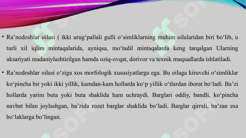 Isteʼmol qilinadigan raʼnodoshlar oilasi vakillari klassifikatsiyasi 3
