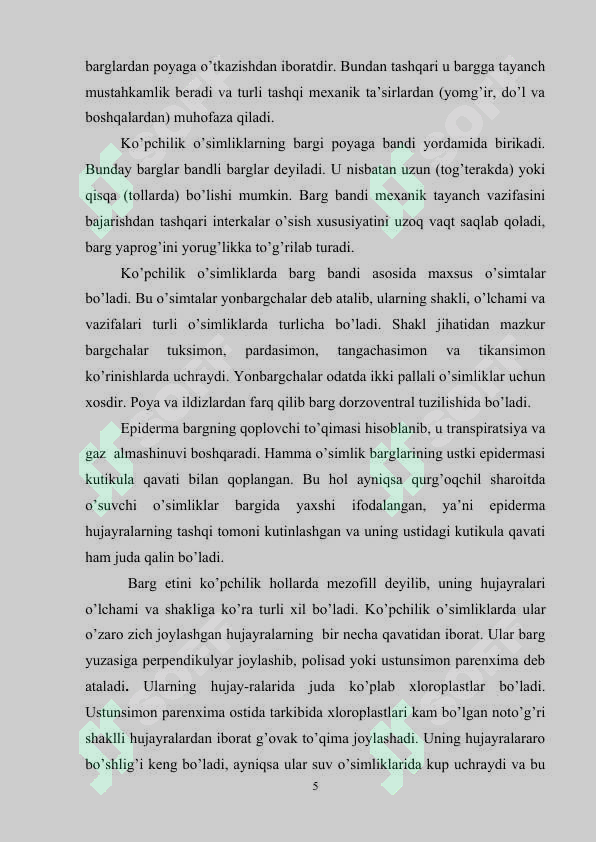 Preview 5