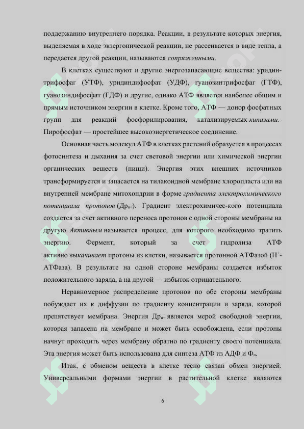 Энергетика растительной клетки.docx 6