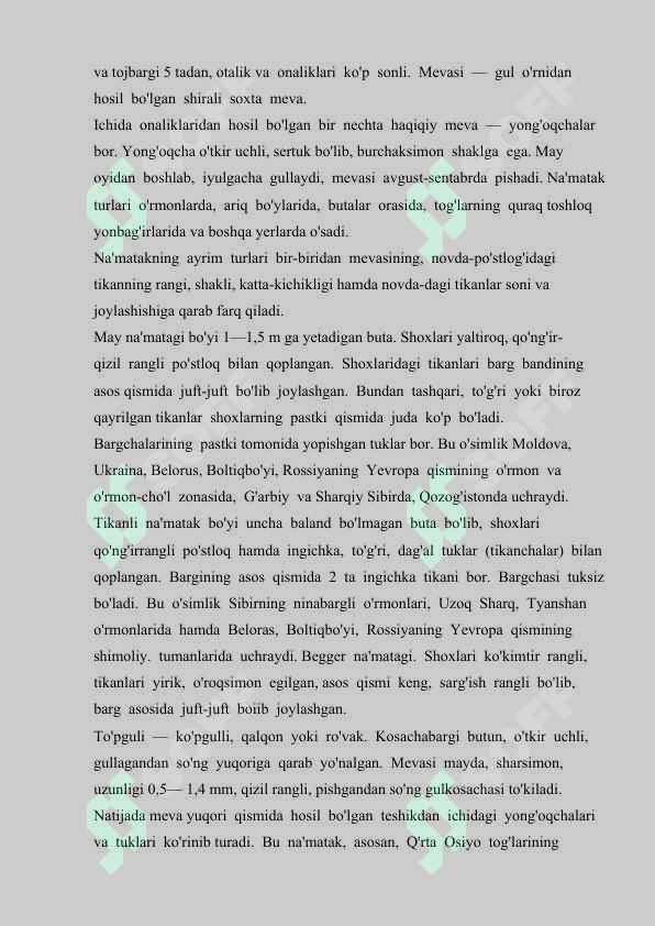 Preview 8