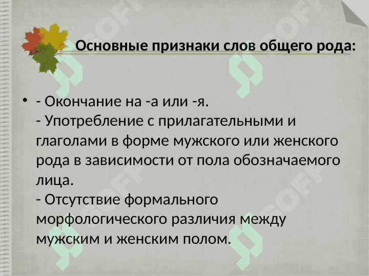 Слова общего рода 3
