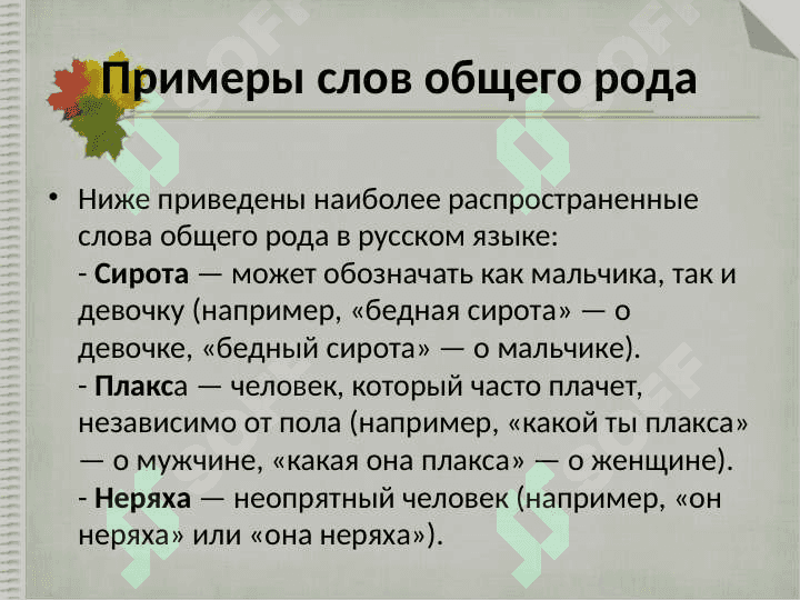Слова общего рода 4