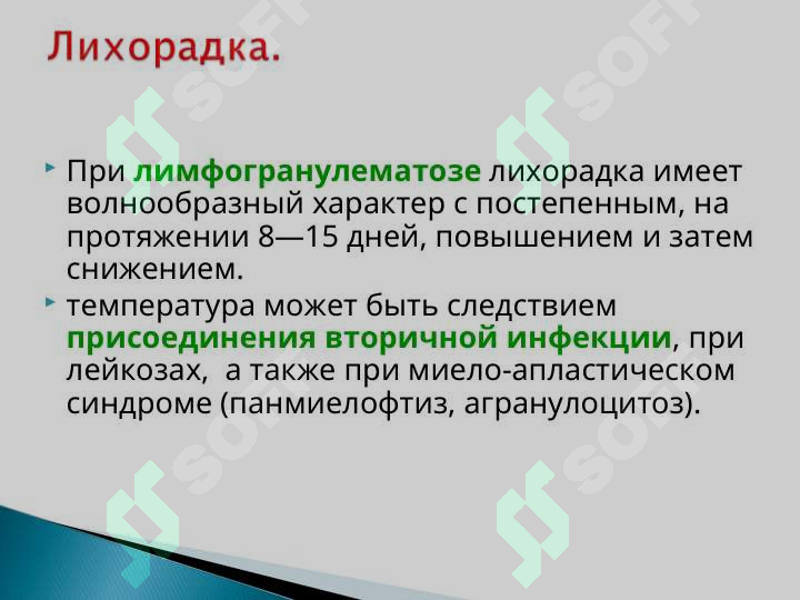 Preview 7