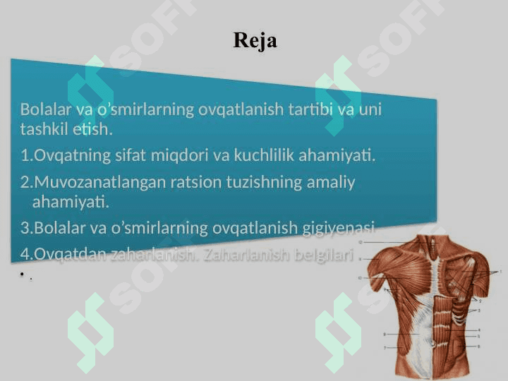 Bolalar va o’smirlarning ovqatlanish tartibi va uni tashkil etish. Bolalar va o‘smirlarning ovqatlanish gigiyenasi 2