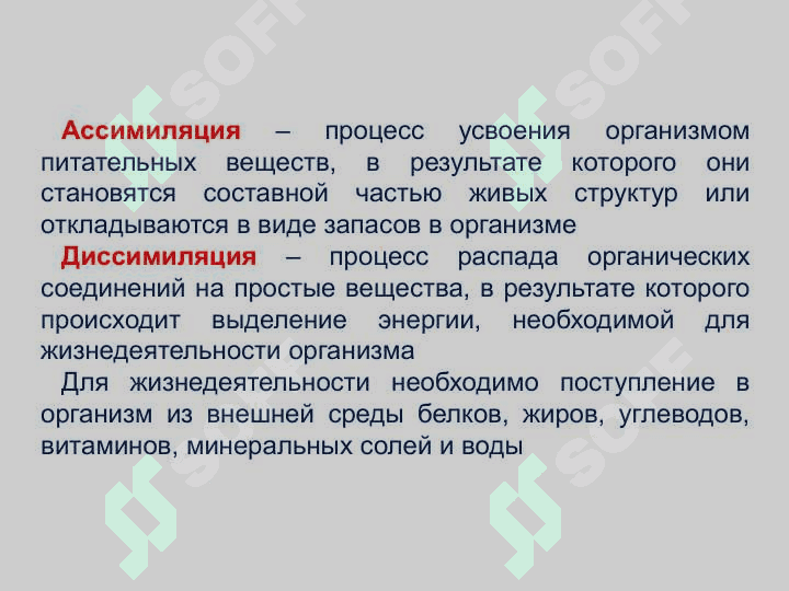 Bolalar va o’smirlarning ovqatlanish tartibi va uni tashkil etish. Bolalar va o‘smirlarning ovqatlanish gigiyenasi 4