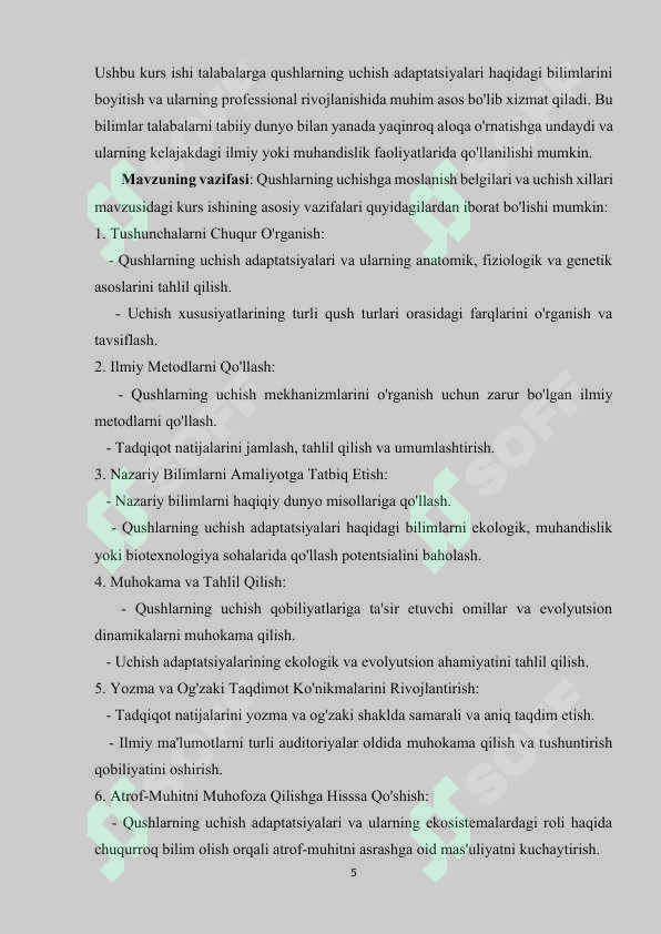 Preview 5