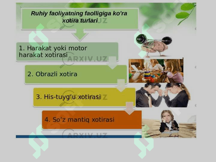 Miyaning mahalliy jarohatlanish jarayonlarida xotiraning buzilishi 6