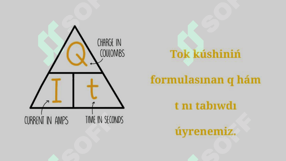 Tok kúshi hám onı ólshew_5E 7