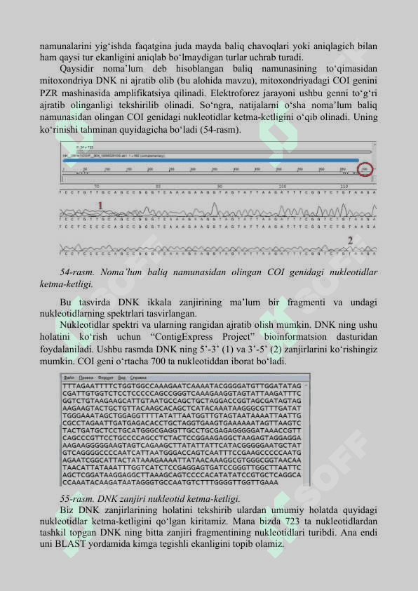 BIOLOGIK KETMA-KETLIKLARNI TAQQOSLASH. NCBI MA’LUMOTLAR BAZASI  1.	BLAST algoritmi 2.	FASTA algoritmi 3