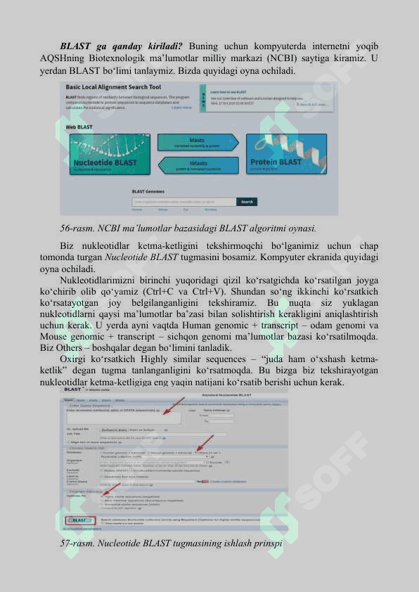 BIOLOGIK KETMA-KETLIKLARNI TAQQOSLASH. NCBI MA’LUMOTLAR BAZASI  1.	BLAST algoritmi 2.	FASTA algoritmi 4