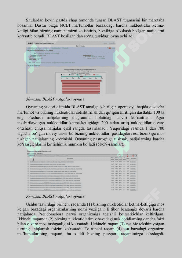 BIOLOGIK KETMA-KETLIKLARNI TAQQOSLASH. NCBI MA’LUMOTLAR BAZASI  1.	BLAST algoritmi 2.	FASTA algoritmi 5