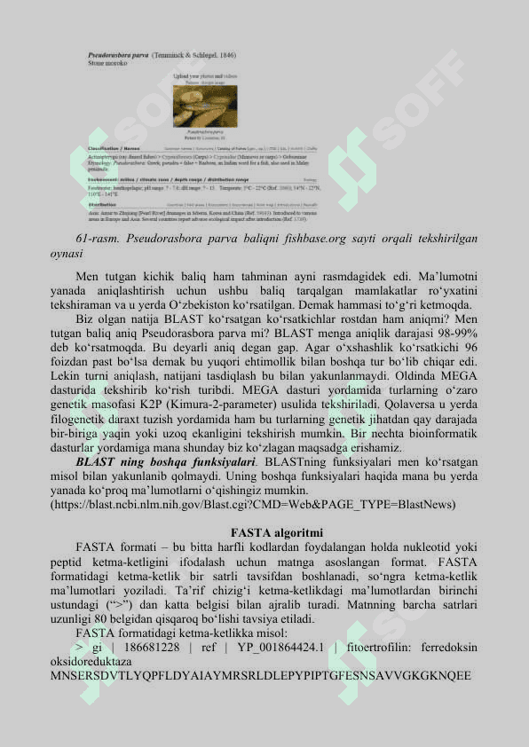 BIOLOGIK KETMA-KETLIKLARNI TAQQOSLASH. NCBI MA’LUMOTLAR BAZASI  1.	BLAST algoritmi 2.	FASTA algoritmi 7