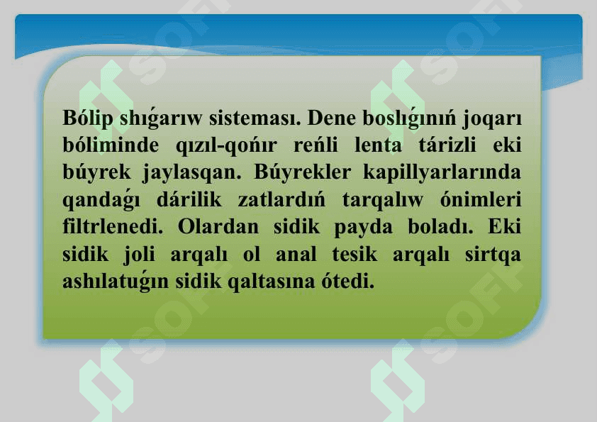 Balıqlardıń bólip shıǵarıw organları.pptx 5