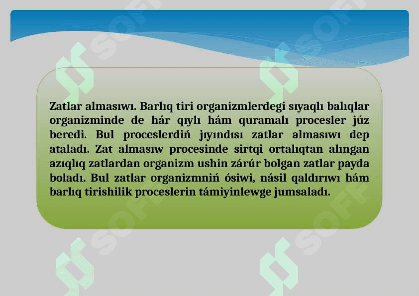 Balıqlardıń bólip shıǵarıw organları.pptx 6