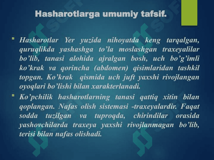 Hasharotlar fizologiyasi va uni o'rganish usullari 3