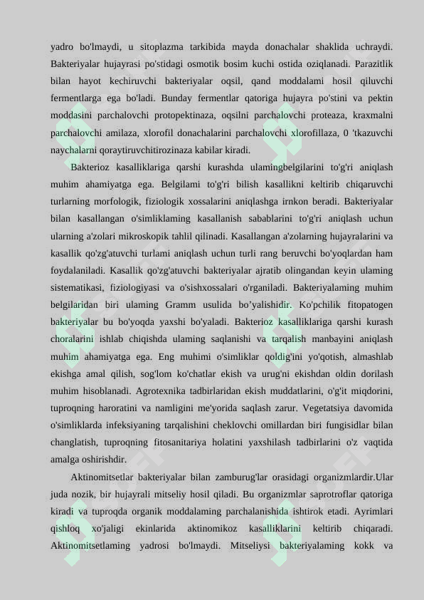 Preview 6