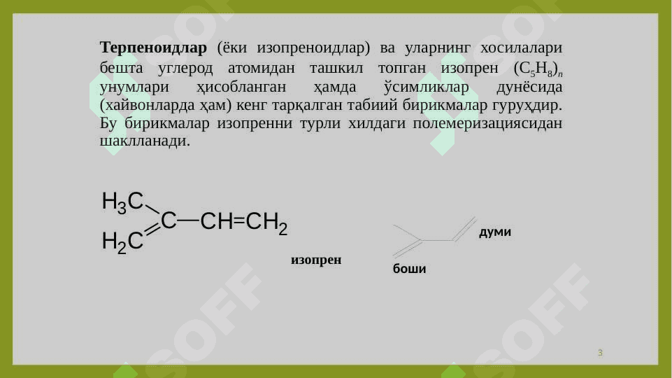ТАРКИБИДА ТЕРПЕНОИДЛАР (ЭФИР МОЙЛАРИ) БЎЛГАН ДОРИВОР ЎСИМЛИКЛАР ВА МАҲСУЛОТЛАР 3