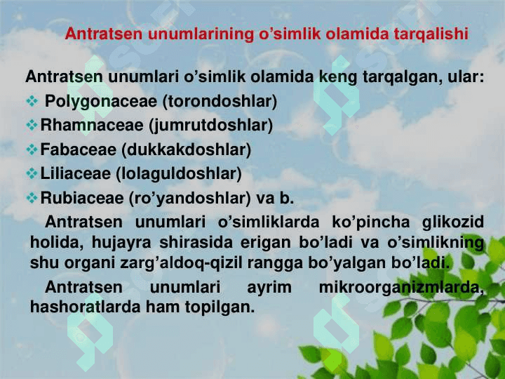 Tarkibiga anratsеn unumlari bo’lgan dorivor o’simliklar va mahsulotlarni tahlili 6