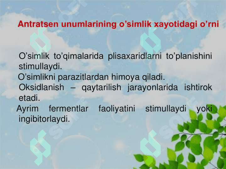 Tarkibiga anratsеn unumlari bo’lgan dorivor o’simliklar va mahsulotlarni tahlili 7