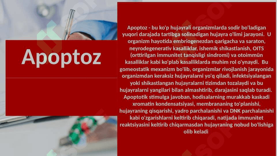 O’sma xujayralarida apoptoz yo‘qolishi fenomeni. Onkologik statistikada informatsion texnologiyalar ahamiyati. Radioaktiv nurlarni biologik muxitlarga ta’siri 2
