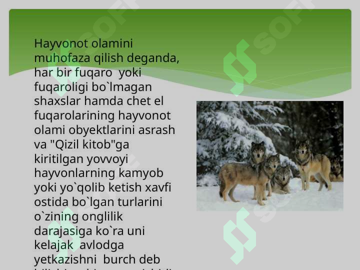 Preview 5
