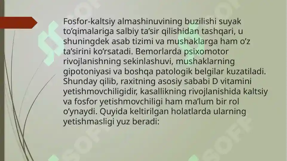Preview 5