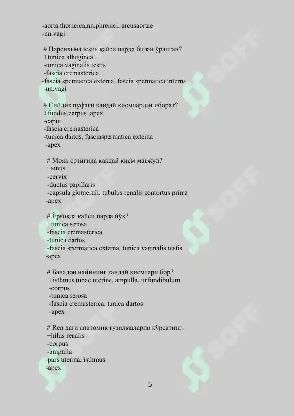 Preview 5