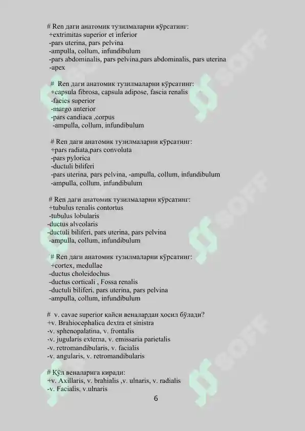 Preview 6