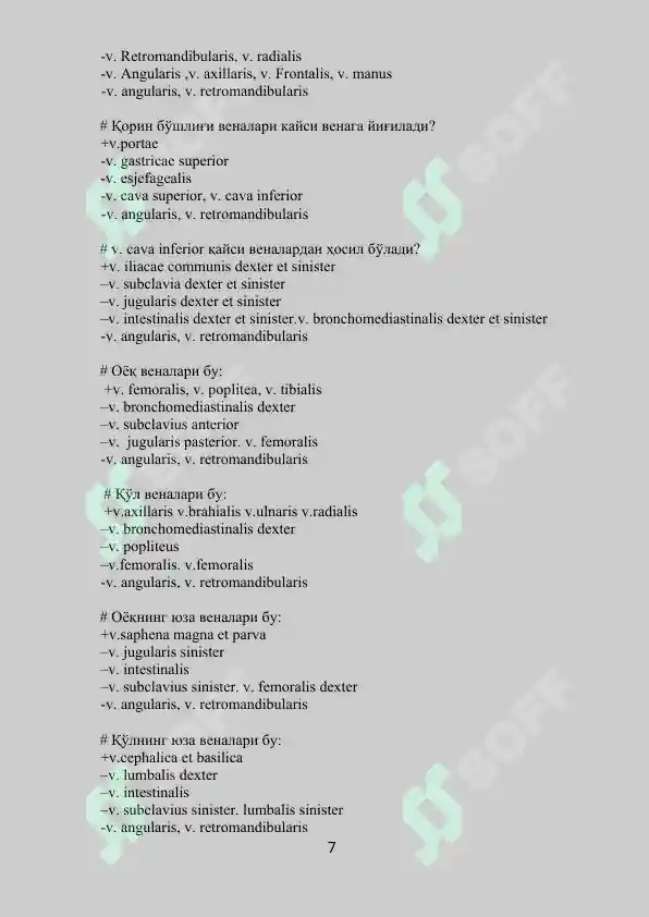 Preview 7