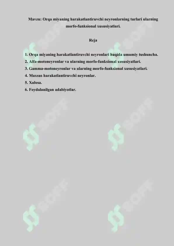 Orqa miyaning harakatlantiruvchi neyronlarning turlari ularning morfo-funksional xususiyatlari. Referat 9 bet. 2