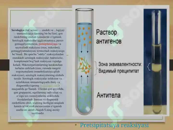 IFA, immunoblot, PZR, radioimmun reaksiyalarning yuqumli kasalliklar tashhisida qo‘llanilishi, qo‘yish tehnikasi 5