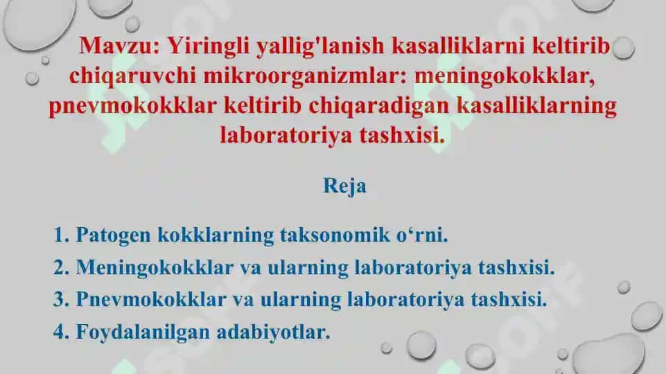 Yiringli yallig'lanish kasalliklarni keltirib chiqaruvchi mikroorganizmlar meningokokklar, pnevmokokklar keltirib chiqaradigan kasalliklarning laboratoriya tashxisi. Sifatli taqdimot 24 bet. 2
