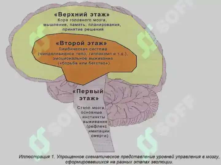 ПАМЯТЬ 4