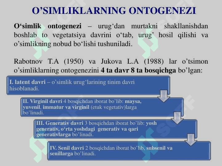 O’simliklar a O’SIMLIKLARDA MAVSUMIY  OZGARISHLAR.  GULLI O’SIMLIKLARNING ONTOGENEZI 3