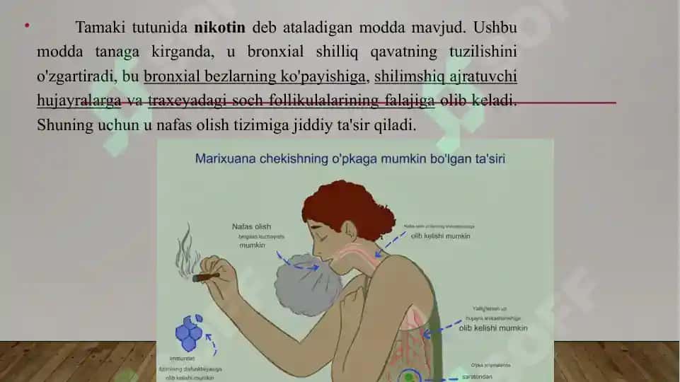 Chekishning nafas a'zolariga salbiy ta'siri 2