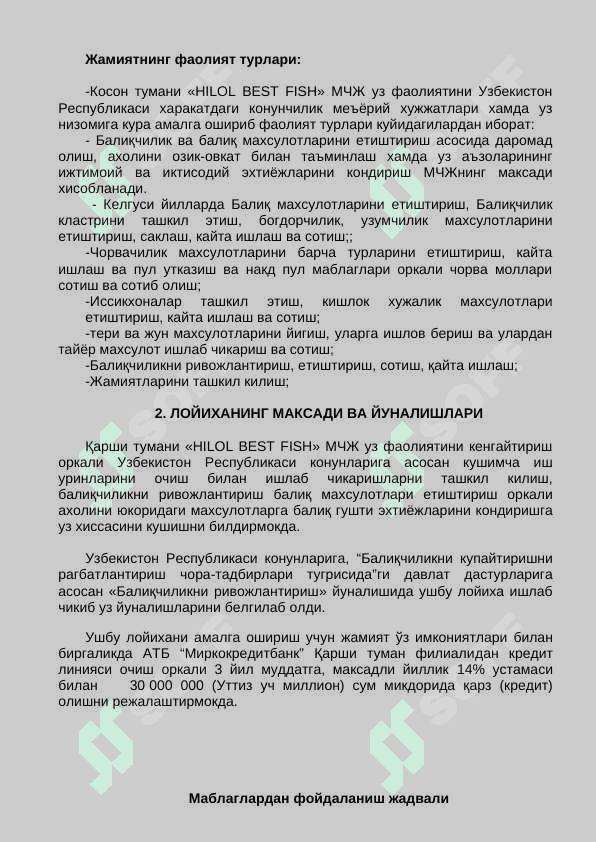 biznes reja: baliq (namuna) 4