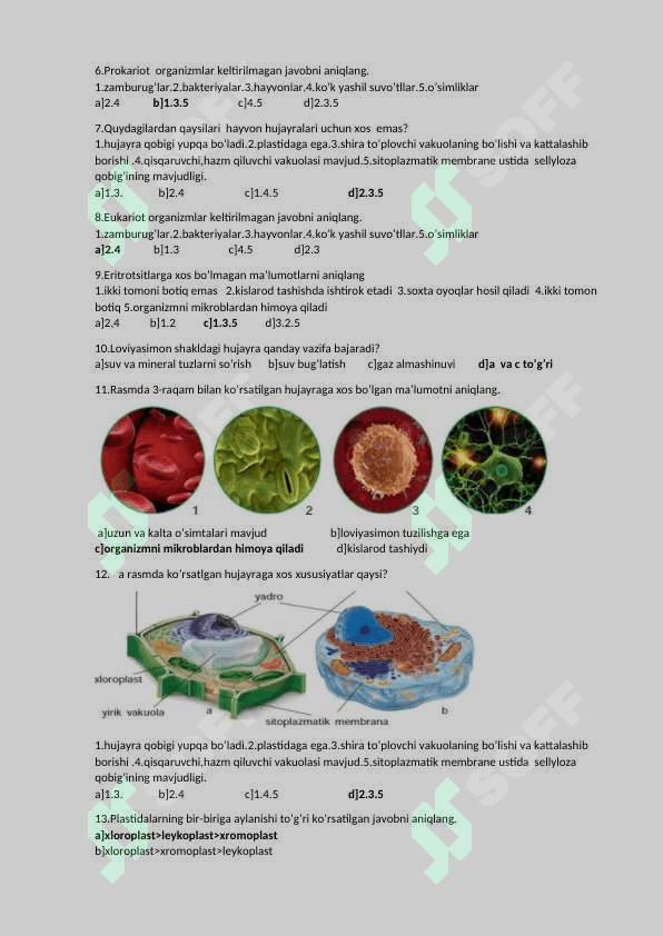 5-sinf botanika fanidan test javoblari bilan 8